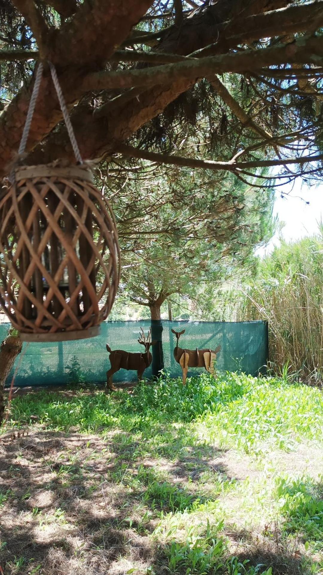 Hotel Kabaceira Glamping Atalaia  Habitación foto